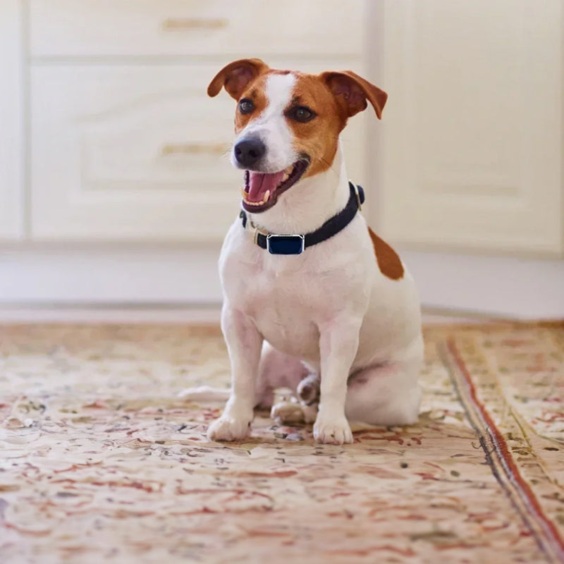 Waterproof Smart GPS Pet Tracker 
