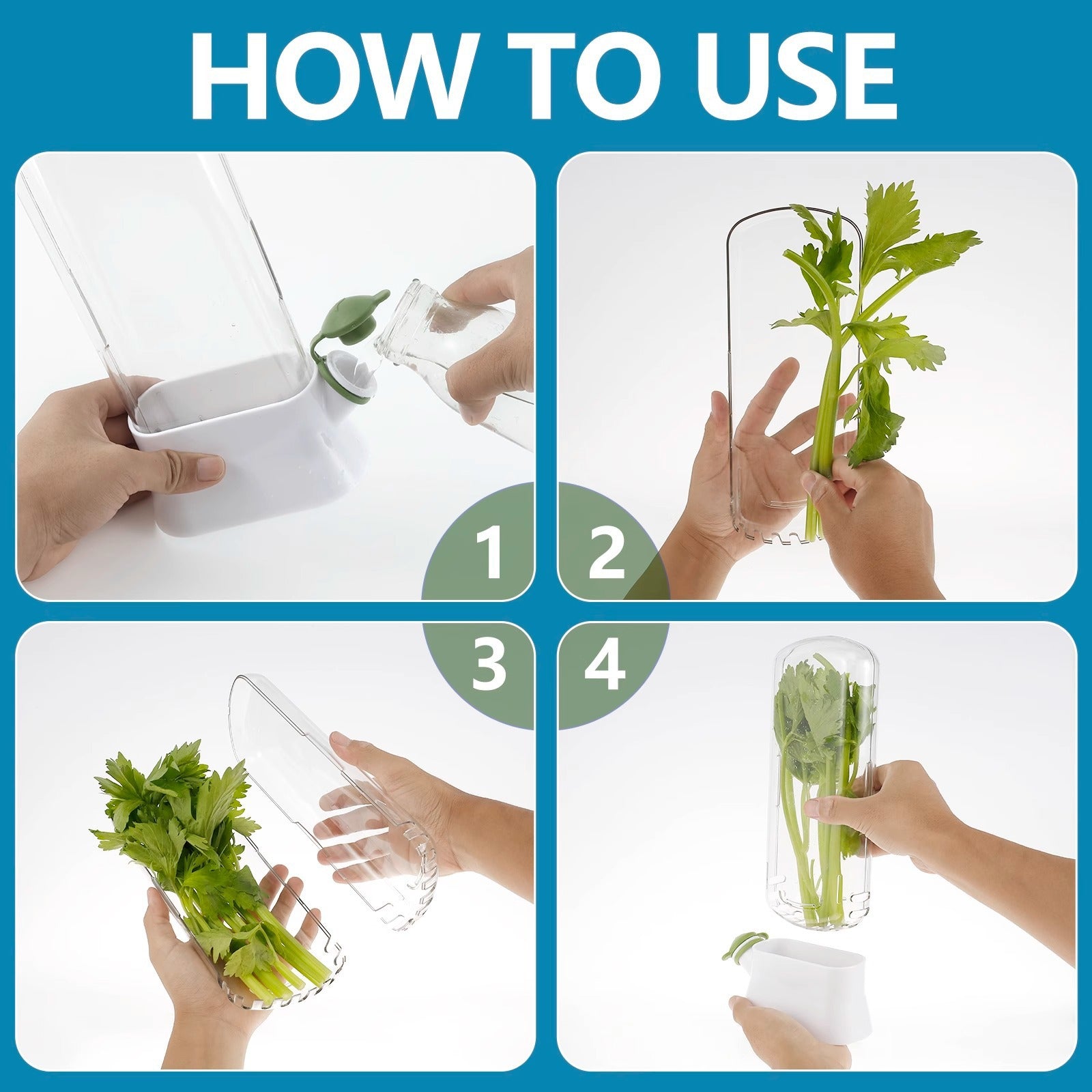 Minimalist Fresh-Keeping Cup for Herbs 