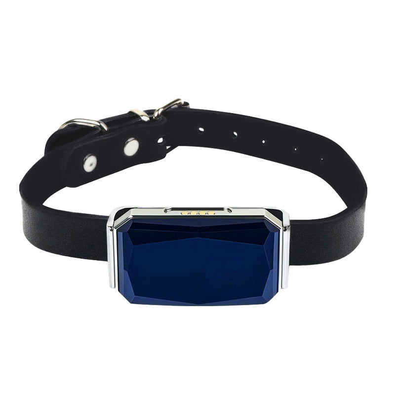 Waterproof Smart GPS Pet Tracker 
