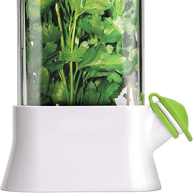 Minimalist Fresh-Keeping Cup for Herbs 