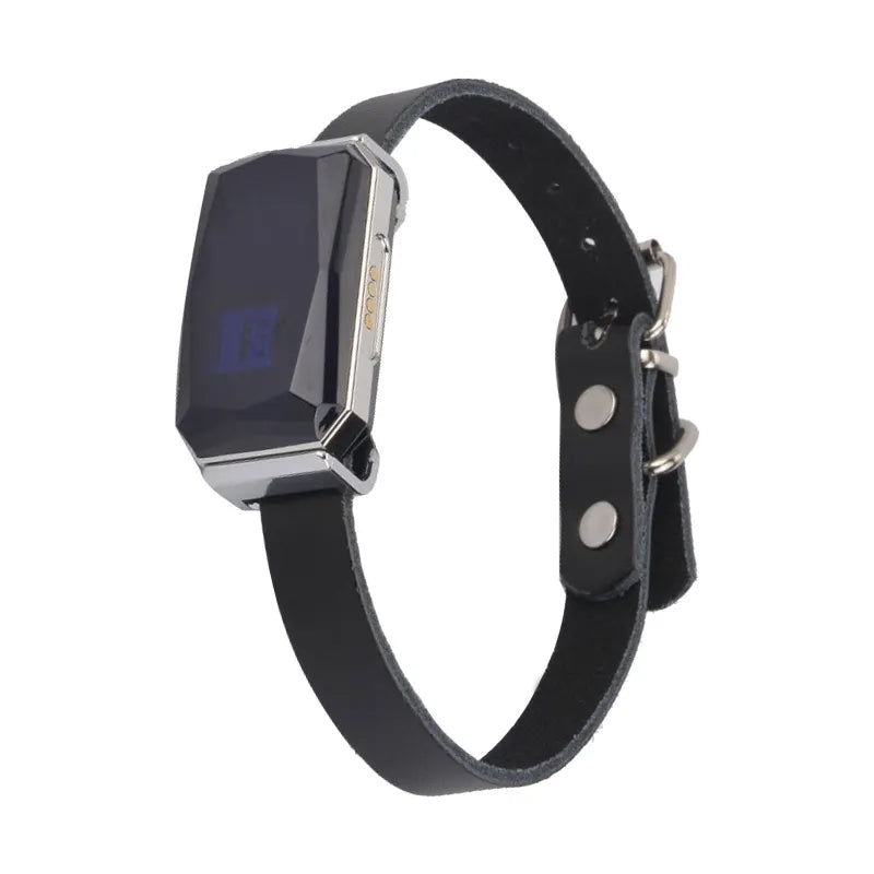 Waterproof Smart GPS Pet Tracker 