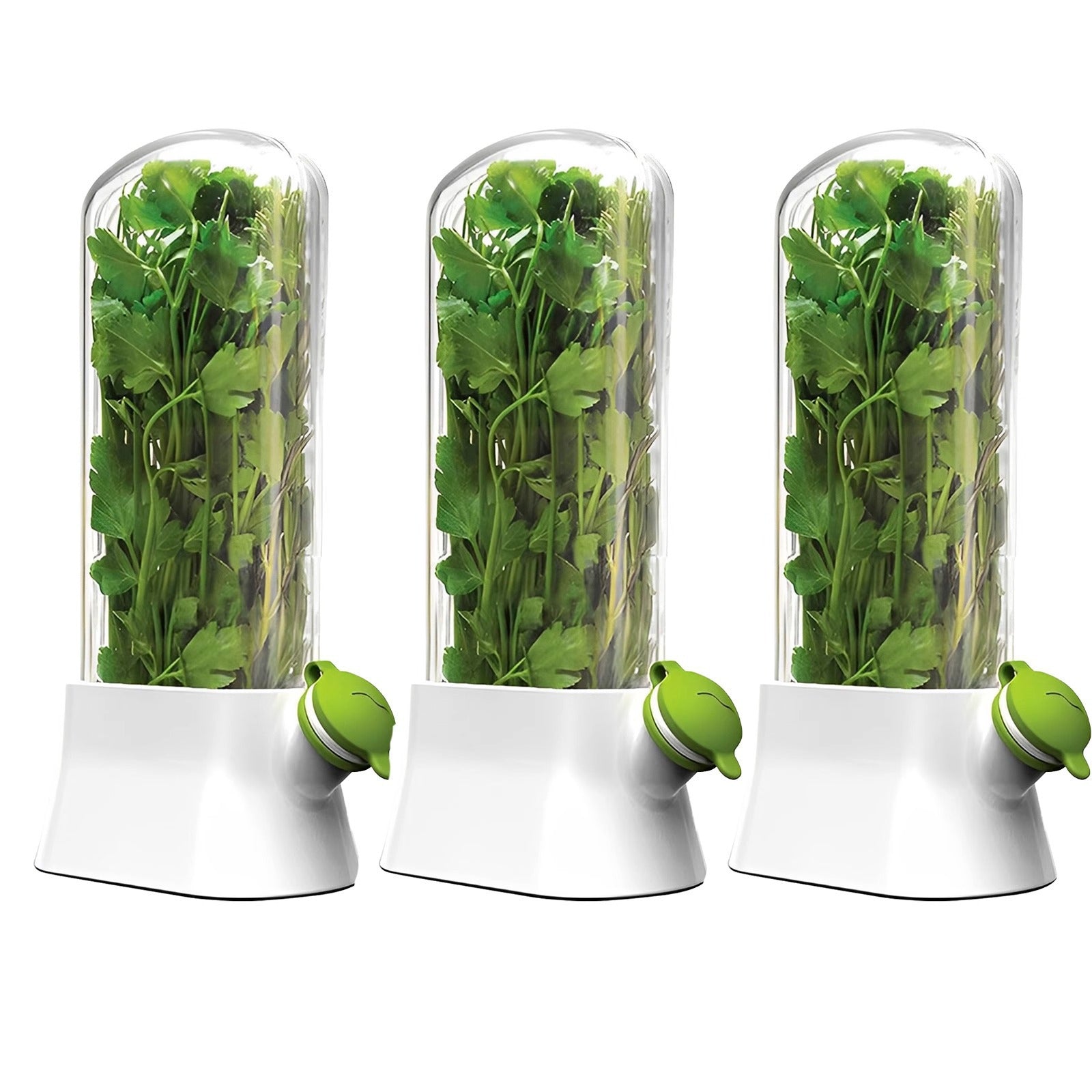 Minimalist Fresh-Keeping Cup for Herbs 