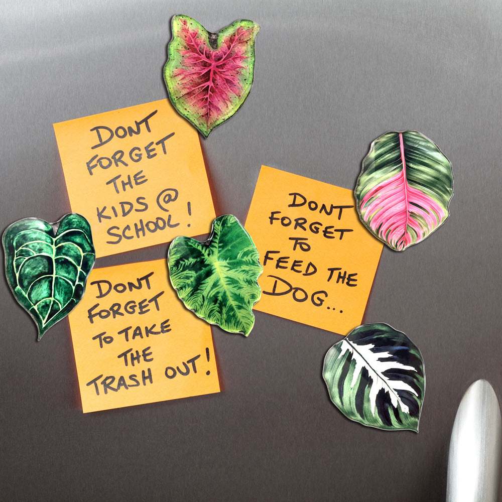 Tropical Leaf Fridge Magnets