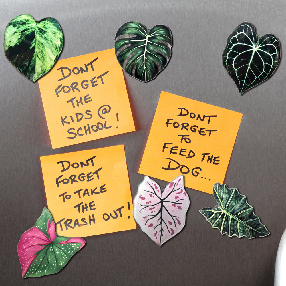 Tropical Leaf Fridge Magnets